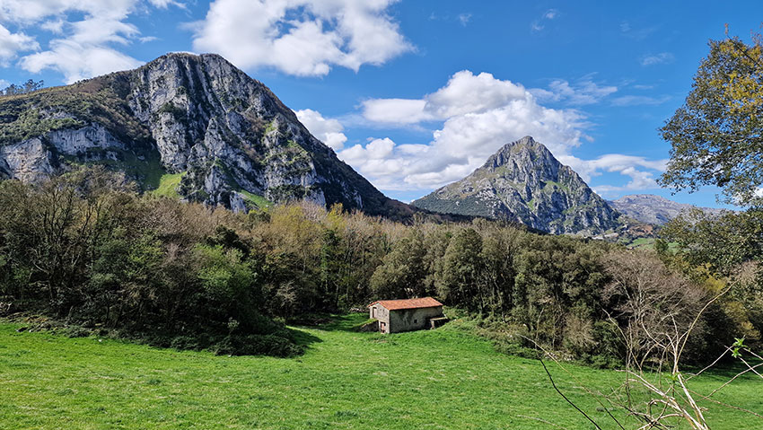 Recuperación Monte el Moro imagen del monte