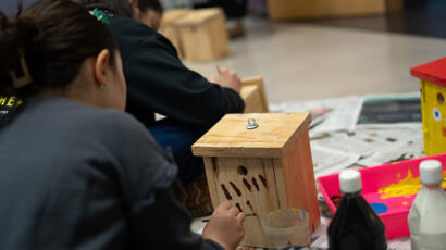Taller cajas nido