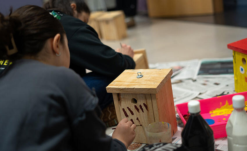 Taller cajas nido