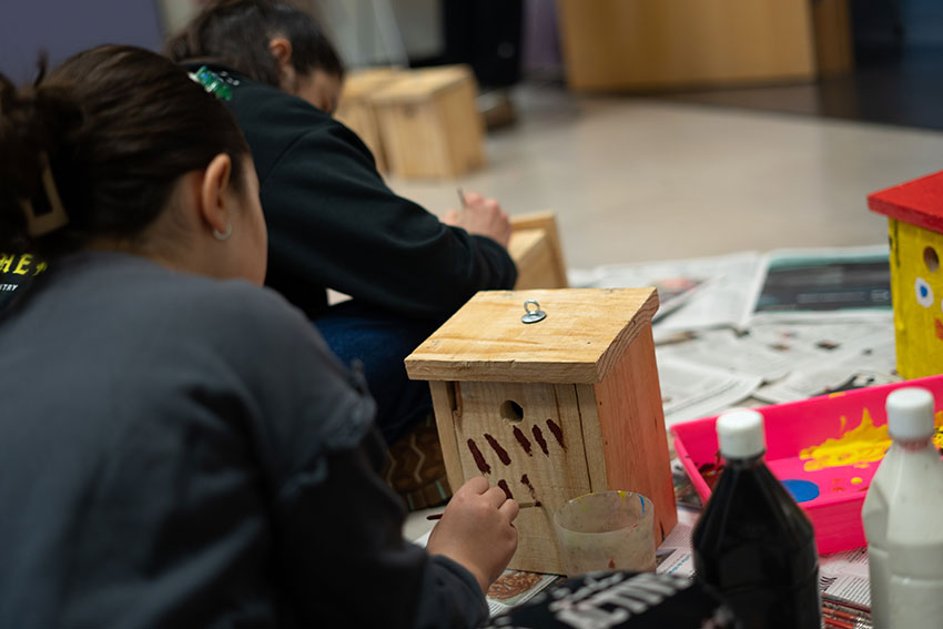 Taller cajas nido