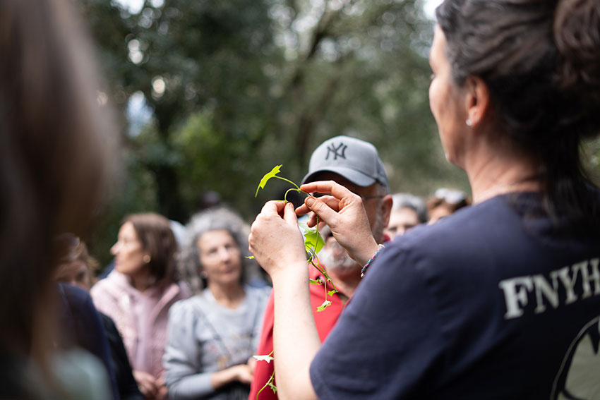 Taller bombas de semillas
