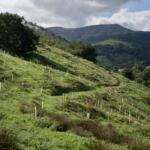 “Bosques Flotantes” recupera el patrimonio cultural y natural de la Montaña Oriental Pasiega